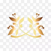 ��ƾ-�̳�װ��-������