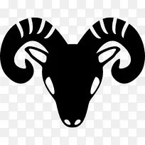 白羊座星座占星术-白羊座-空若网 白羊座星座占星术-白羊座-空若网