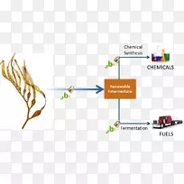 ����ȼ�Ϻ����ѧ-������