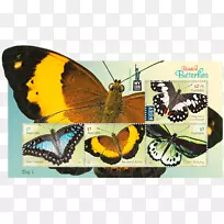 ������չ-2016�����ŦԼ��ƱС����-������Ʊ-������