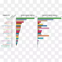 肿瘤基因复发网络胰腺癌治疗-癌细胞生殖细胞图谱-空若网 肿瘤基因复发网络胰腺癌治疗-癌细胞生殖细胞图谱-空若网