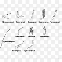 �������������-����-������