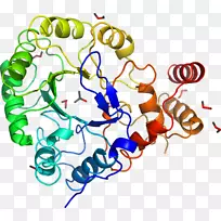 线点生物剪贴画线-空若网 线点生物剪贴画线-空若网