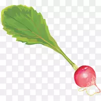 菜园萝卜叶蔬菜根菜剪贴画萝卜-空若网 菜园萝卜叶蔬菜根菜剪贴画萝卜-空若网
