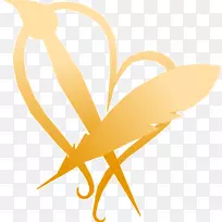 艺术家美丽治愈标志昆虫-小燕子-空若网 艺术家美丽治愈标志昆虫-小燕子-空若网