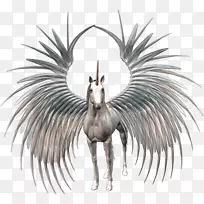 绘画博客艺术剪贴画-独角兽-空若网 绘画博客艺术剪贴画-独角兽-空若网