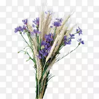 野花剪贴画-空若网 野花剪贴画-空若网