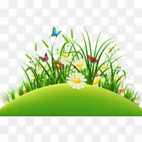 ��Ӱ-������