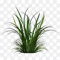 剪贴画-Parterre-空若网 剪贴画-Parterre-空若网