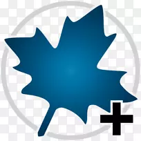 计算机软件数学工程-枫叶-空若网 计算机软件数学工程-枫叶-空若网