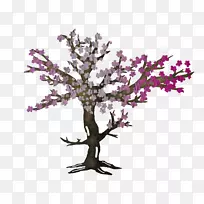 樱花切花紫樱花-空若网 樱花切花紫樱花-空若网