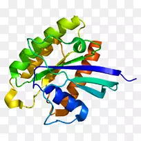 TSC 2 g����TSC 1-������