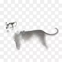 狗大猫美洲狮鼻子中盖-空若网 狗大猫美洲狮鼻子中盖-空若网