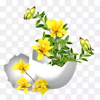 复活节兔子圣诞快乐-空若网 复活节兔子圣诞快乐-空若网