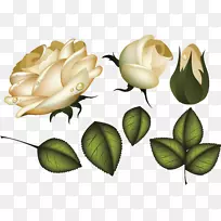 玫瑰花叶剪贴画-玫瑰-空若网 玫瑰花叶剪贴画-玫瑰-空若网