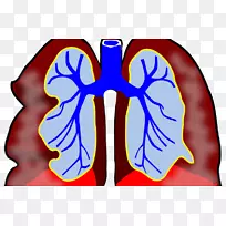 癌症意识丝带肺夹艺术牙科细菌-空若网 癌症意识丝带肺夹艺术牙科细菌-空若网