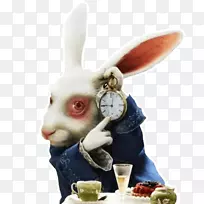 ���ð���˿�ڡ��ĺ��ɾ����е�ð��-����-������