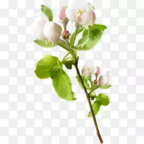 博客封装PostScript剪贴画-空若网 博客封装PostScript剪贴画-空若网