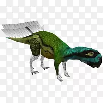 伶盗龙-动物-空若网 伶盗龙-动物-空若网