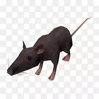 �������-����-������