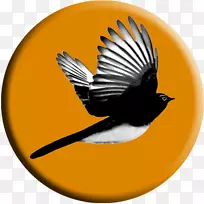 威利摇尾表演艺术剧院-七夕艺术节创意之爱-空若网 威利摇尾表演艺术剧院-七夕艺术节创意之爱-空若网