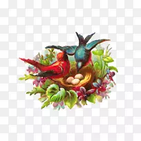 �񳲰��������-���ж�-������