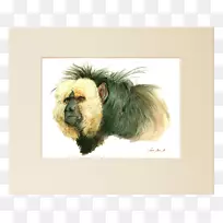 °×Á³Èø»ùÃÀÊõË®²Ê»-¿ÕÈôÍø °×Á³Èø»ùÃÀÊõË®²Ê»-¿ÕÈôÍø