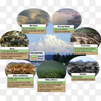 湖泊生态系统河流生态系统-空若网 湖泊生态系统河流生态系统-空若网