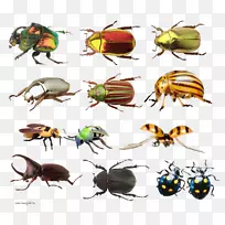 С���׳���ˮ�Լ���������ͼ-������