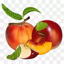 ˮ�������ֽ������-������