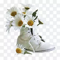 动画LiveInternet博客片段-动画-空若网 动画LiveInternet博客片段-动画-空若网