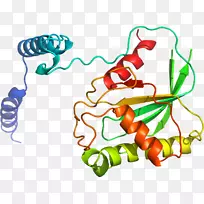 �����߶��������-�ϻ���ޣ-������