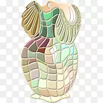 电脑图标剪贴画-空若网 电脑图标剪贴画-空若网