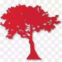 ��ľ����ֲ��Ҷ����-����-������