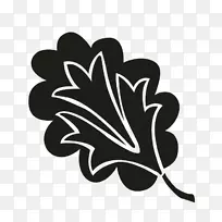 Ҷ����ֲ������ɫ����.�޻���Ҷ-������