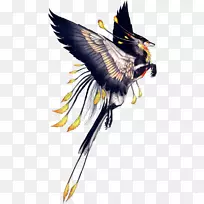 狼狗鸟画猫-空若网 狼狗鸟画猫-空若网