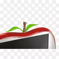 电视led.背光lcd bravia液晶显示计算机显示器.生物医学显示面板-空若网 电视led.背光lcd bravia液晶显示计算机显示器.生物医学显示面板-空若网