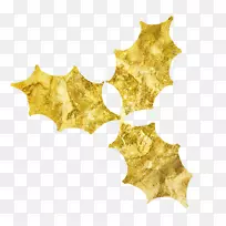 ���ͽ�Ҷ������-����Ҷ-������