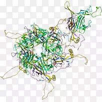 树木线夹艺术.消毒昆虫病毒-空若网 树木线夹艺术.消毒昆虫病毒-空若网