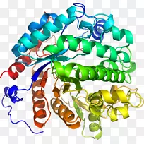 �����鱦�л�������������.��Ҷ��-������