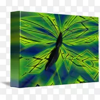 绿色对称叶状蝴蝶-空若网 绿色对称叶状蝴蝶-空若网