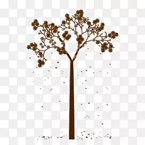 ӣ����-��������-������