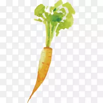 ���ܲ��߲˺��ܲ�-������