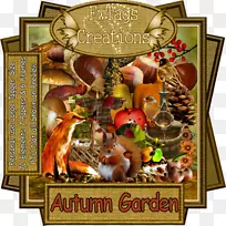 圣诞装饰品康涅狄格博客奖-秋天开始-空若网 圣诞装饰品康涅狄格博客奖-秋天开始-空若网