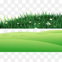 ��ɽ�ϼ���-������