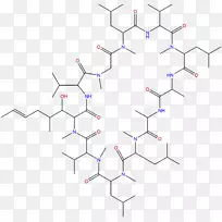 氨基酸肽合成热力学活性植物化物-空若网 氨基酸肽合成热力学活性植物化物-空若网