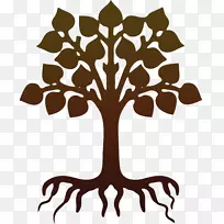 澳大利亚纹章树夹艺术.生命元素-空若网 澳大利亚纹章树夹艺术.生命元素-空若网