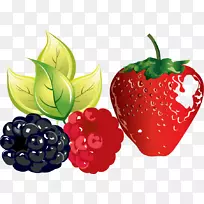 覆盆子果夹艺术.草莓葡萄PNG载体材料-空若网 覆盆子果夹艺术.草莓葡萄PNG载体材料-空若网