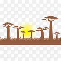 长颈鹿猴面包树插图-树-空若网 长颈鹿猴面包树插图-树-空若网