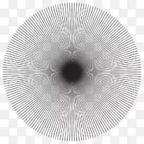 �Գ�-���ཻ-������